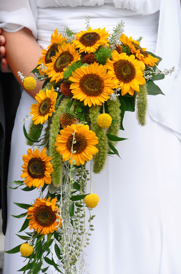 sunflowers in bouquet for bride